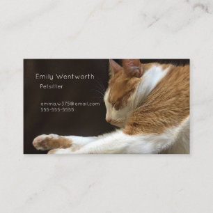 Cat sleeping on sofa business card
