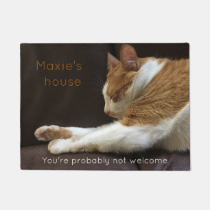 Cat sleeping on sofa doormat