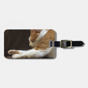 Cat sleeping on sofa luggage tag