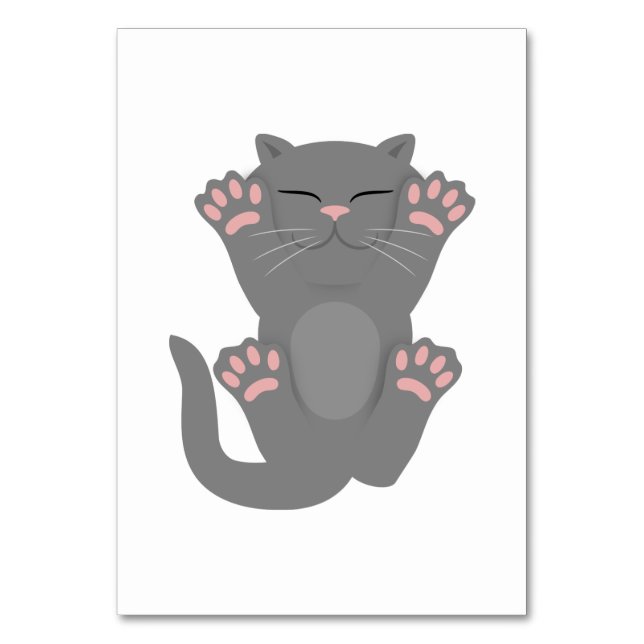 Cat Sleeping Table Number (Front)