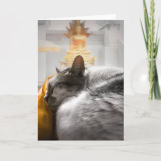 Cat Sleeping under Buddha's Watch Card
