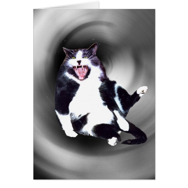 Cat Sliding Down on card (Front)