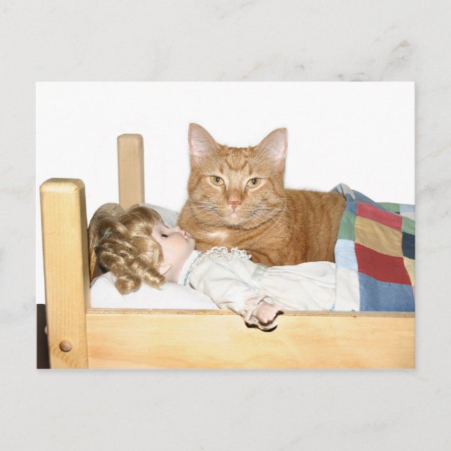 Cat slumber Party Postcard (Front)