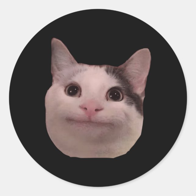 Cat Smiling Cat Beluga Classic Round Sticker (Front)
