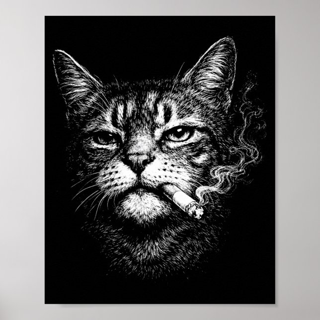 Cat smoking cigarette funny animal face meme poster (Front)