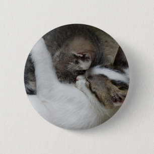 Cat Snuggles Button