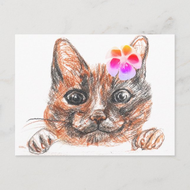 Cat Spring Greeting Card (Front)
