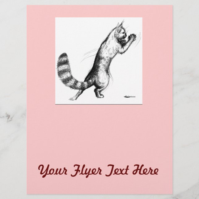 Cat Springing2 Flyer (Front)