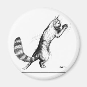 Cat Springing2 Magnet