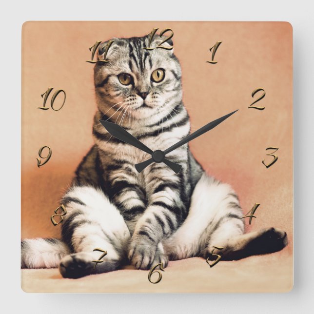 Cat Square Wall Clock (Front)