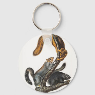 Cat Squirrel (Sciurus cinereus) Illustration Key Ring