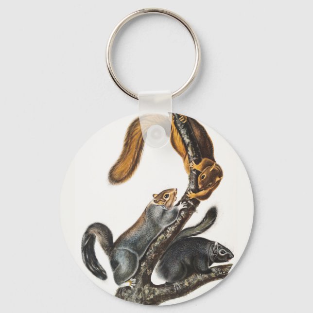 Cat Squirrel (Sciurus cinereus) Illustration Key Ring (Front)