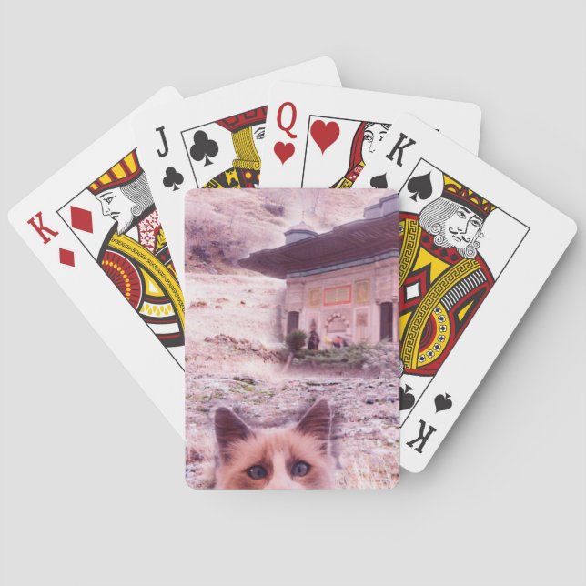 Cat Stare Classic Playing Cards (Back)
