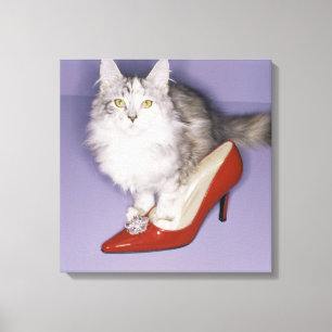 Cat stepping into high heel canvas print