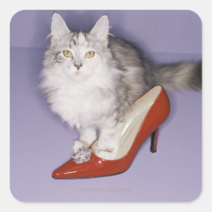 Cat stepping into high heel square sticker