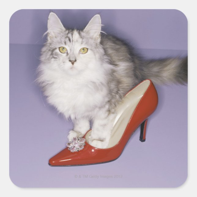 Cat stepping into high heel square sticker (Front)