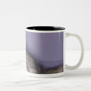 Cat stepping into high heel Two-Tone coffee mug