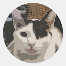 Cat Sticker