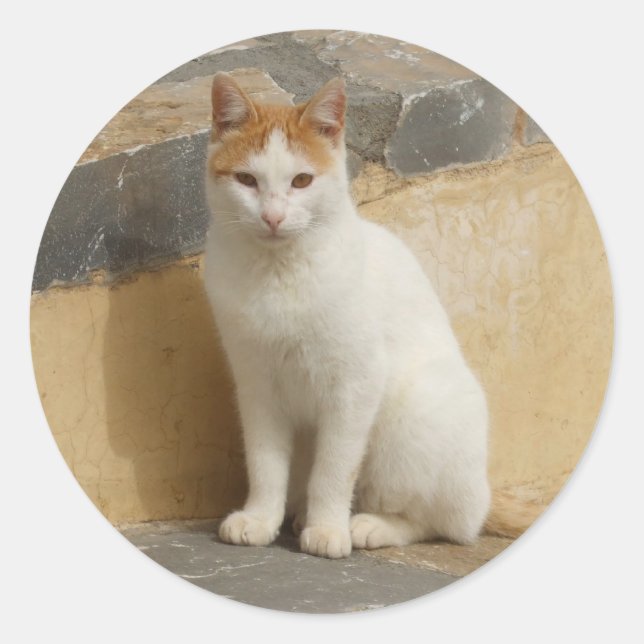 Cat Stickers (Front)