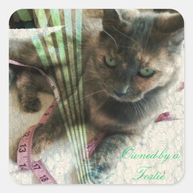 Cat stickers (Front)