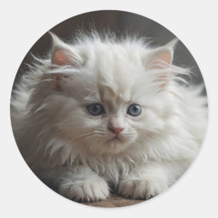 Cat Stickers