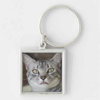 Cat Sticking out tongue key chain