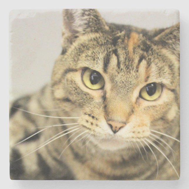 Cat  stone coaster (Front)