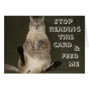 Cat "STOP READING THIS CARD & FEED ME" Card