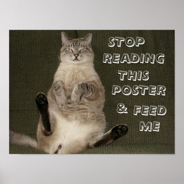 Cat "Stop Reading This Poster & Feed Me" Poster (Front)