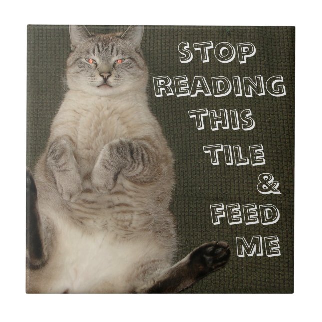 Cat "STOP READING THIS TILE & FEED ME" Tile (Front)