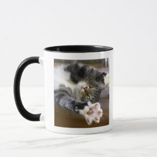 Cat stretching, indoors mug