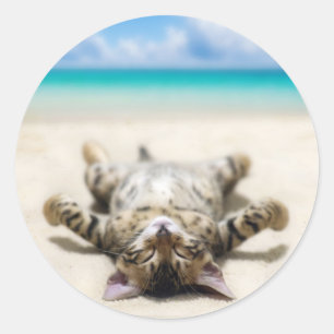 Cat Sunbathing at the Beach  Classic Round Sticker