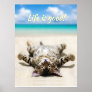 Cat Sunbathing at the Beach Poster
