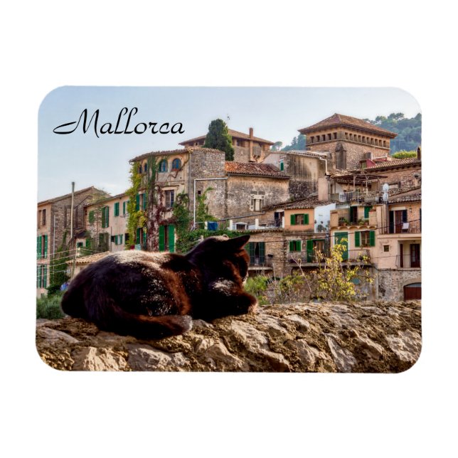 Cat sunbathing on a wall - Valldemossa, Mallorca Magnet (Horizontal)