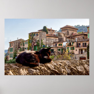 Cat sunbathing on a wall - Valldemossa, Mallorca Poster