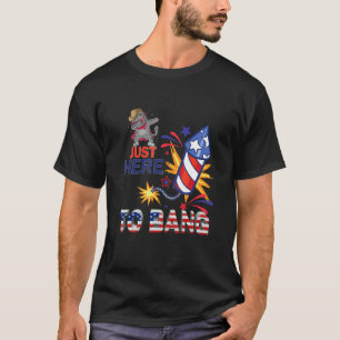 Cat Sunglasses Just Here To Bang Fireworks 4th Of T-Shirt