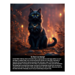 Cat Superstition Poster