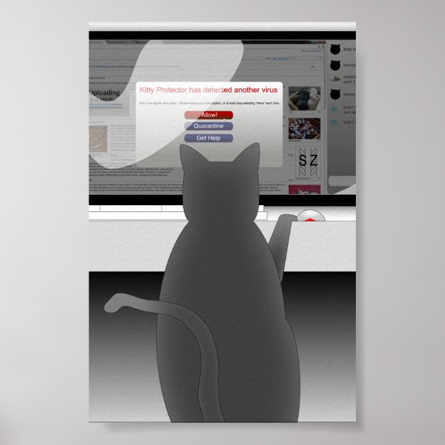 cat-surfing-2011 poster (Front)