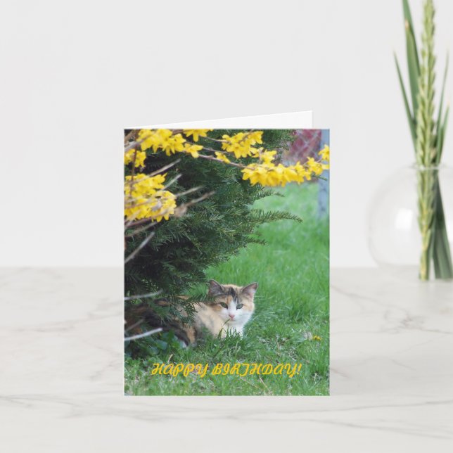 Cat, Sweet One, Birthday Card (Front)