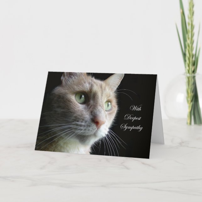 Cat Sympathy Card (Front)