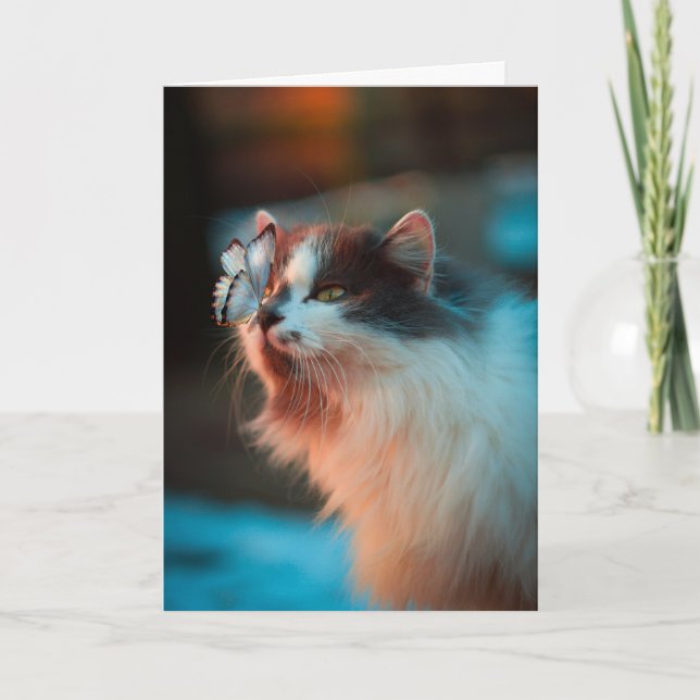 Cat Sympathy Card (Front)