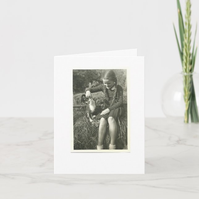 CAT SYMPATHY CARD (Front)