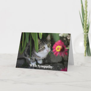 Cat Sympathy Card Personalised Pet Memorial