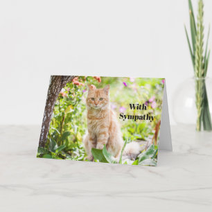 Cat Sympathy Card Personalised Pet Memorial