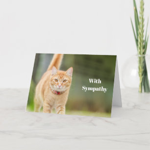 Cat Sympathy Card Personalised Pet Memorial 