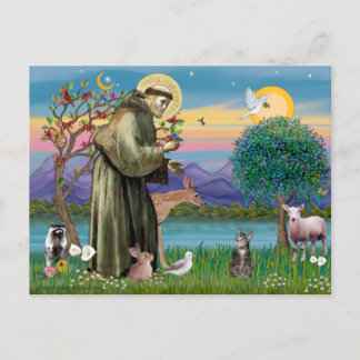 Cat (Tabby 2) - Saint Francis Postcard