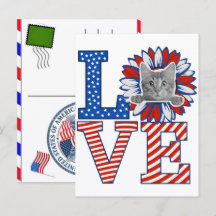 Cat Tabby Paw Feline USA Independence Day 2026