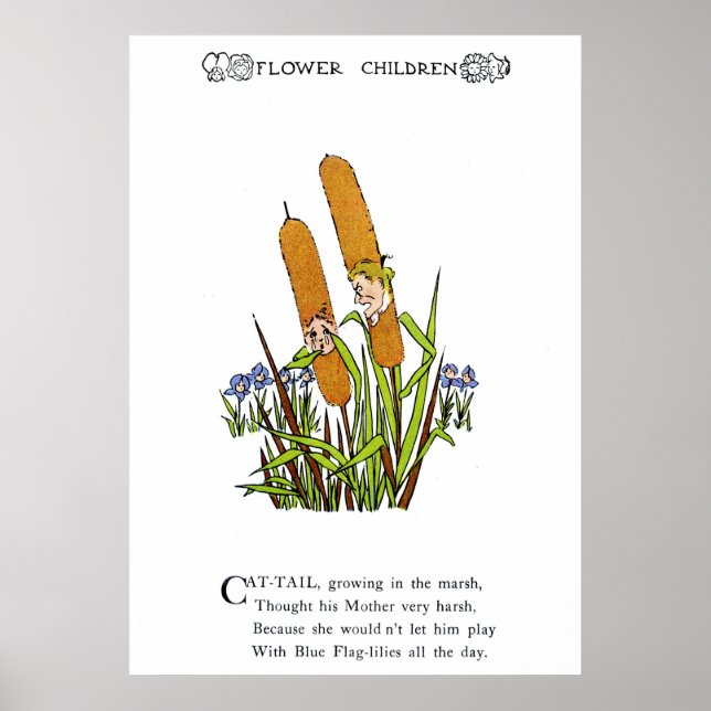 Cat-Tail Poster (Front)