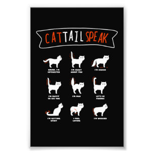 Cat Tail Speak Cat Kitten Meow Animal Photo Print