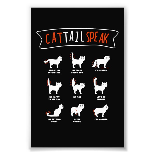 Cat Tail Speak Cat Kitten Meow Animal Photo Print (Front)